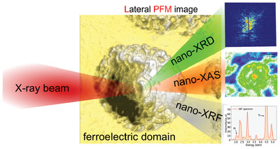 Unveiling Center‐Type Topological Defects on Rosettes of Lead Zirconate Titanate Associated to Oxygen Vacancies