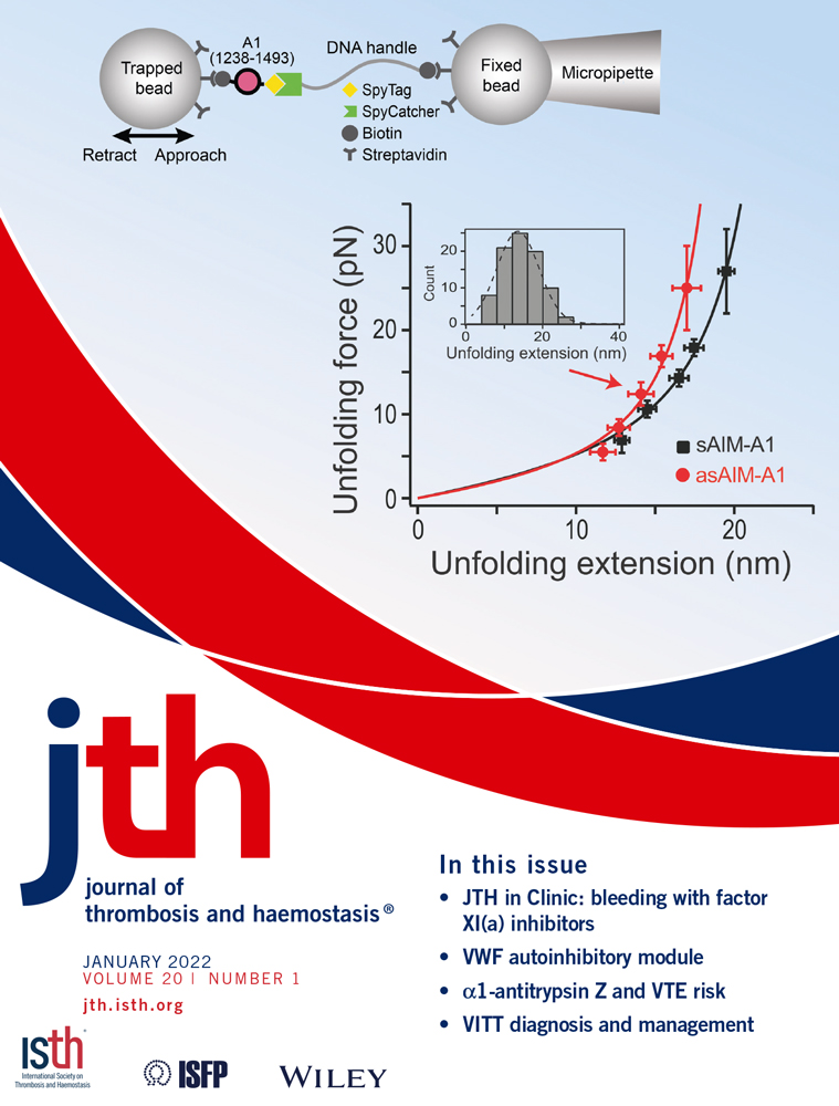 The COVID‐19 vaccine ChAdOx1‐S is not contaminated with sulfated glycosaminoglycans
