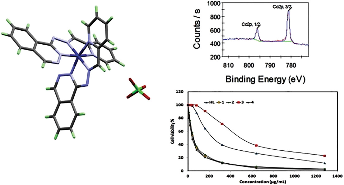 Synthesis, structure, X‐ray photoelectron spectroscopy (XPS), and antimicrobial, anticancer, and antioxidant activities of Co (III) complexes based on the antihypertensive hydralazine