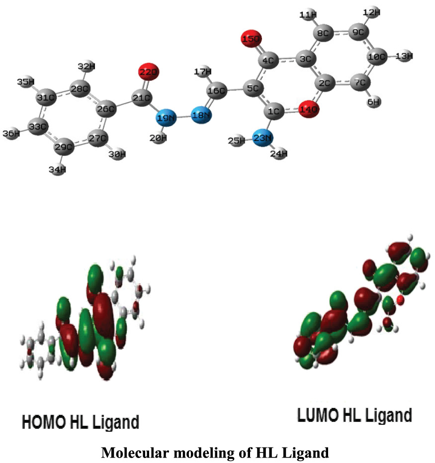 New nickel (II), cobalt (III), and iron (III) complexes with N′‐[(2‐aminochromon‐3‐yl)methylidene]benzohydrazide: Synthesis, characterization, solvatochromic shift, dipole moment, and DFT calculations