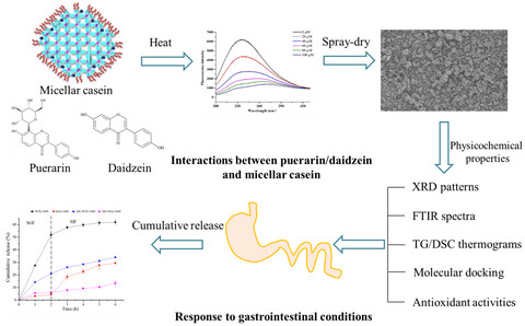 Interactions between puerarin/daidzein and micellar casein