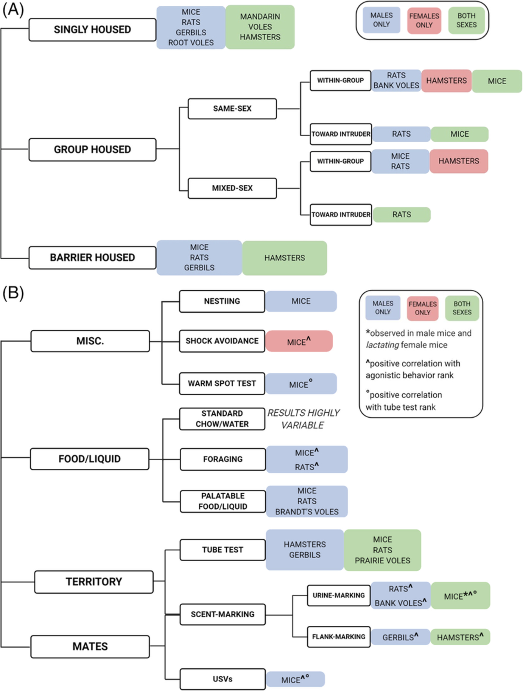 Manifestations of domination: Assessments of social dominance in rodents
