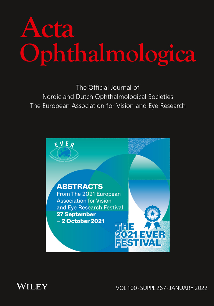 Morphological characterization of the whale retina