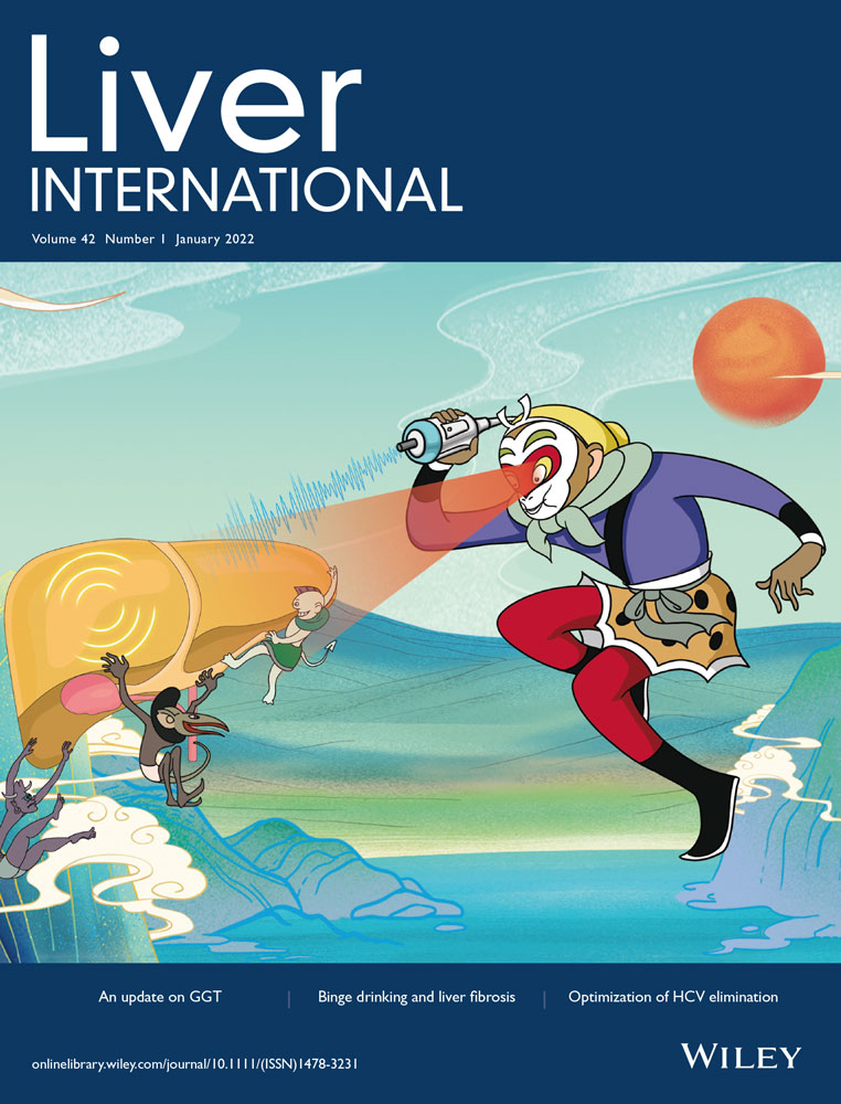 Preneoplastic lesions in the liver: molecular insights and relevance for clinical practice