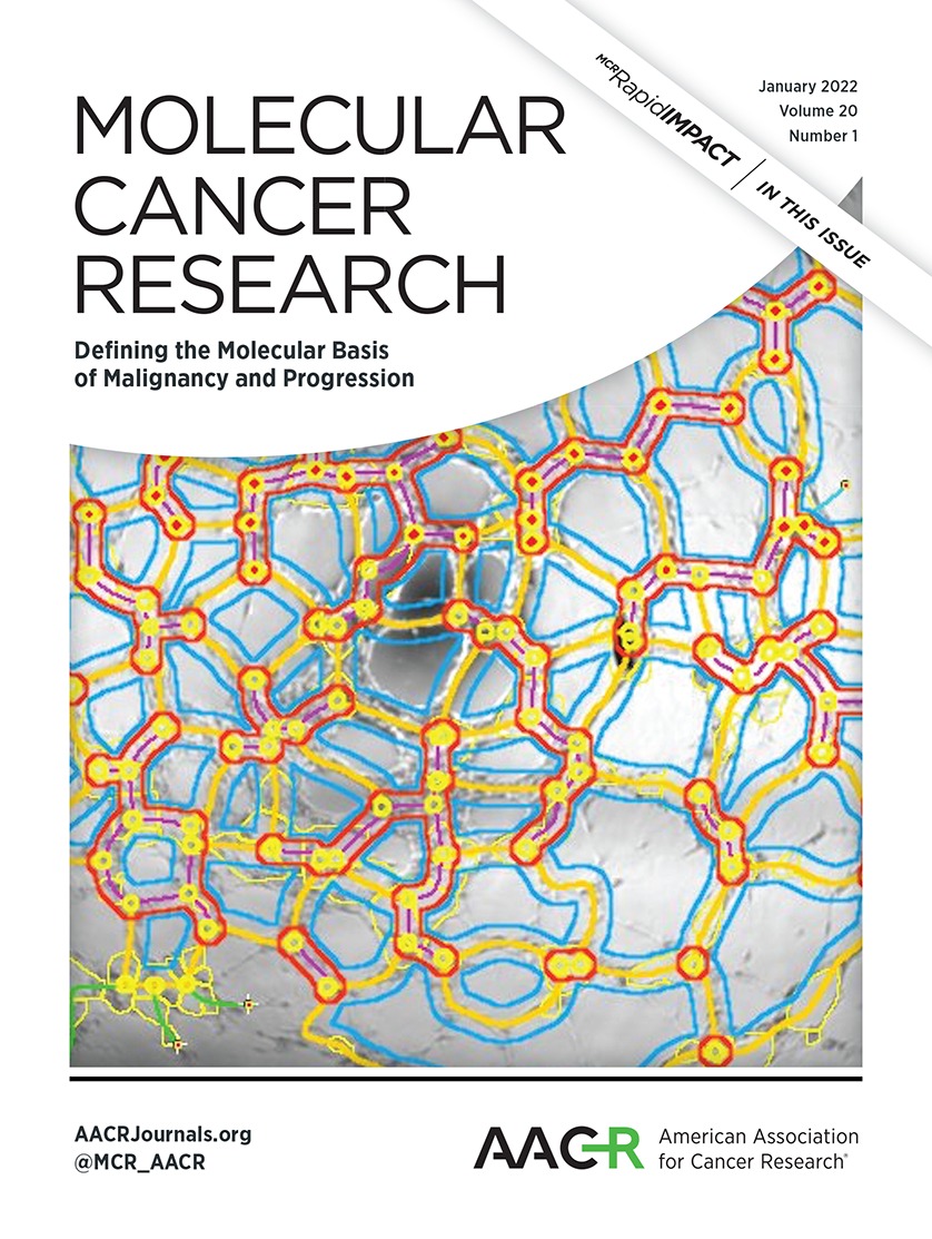 Regulation of Chemosensitivity in Human Medulloblastoma Cells by p53 and the PI3 Kinase Signaling Pathway