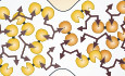 On the role of phase separation in the biogenesis of membraneless compartments