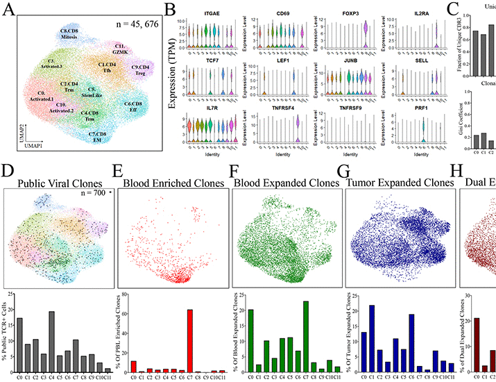 Molecular signatures of antitumor neoantigen-reactive T cells from metastatic human cancers