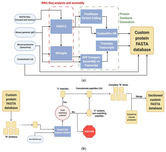 Proteomes, Vol. 10, Pages 11: Quantitative Proteogenomic Characterization of Inflamed Murine Colon Tissue Using an Integrated Discovery, Verification, and Validation Proteogenomic Workflow