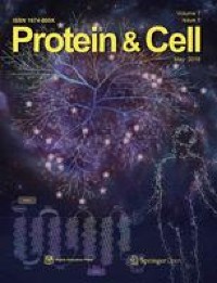 Correction to: mTORC2/RICTOR exerts differential levels of metabolic control in human embryonic, mesenchymal and neural stem cells