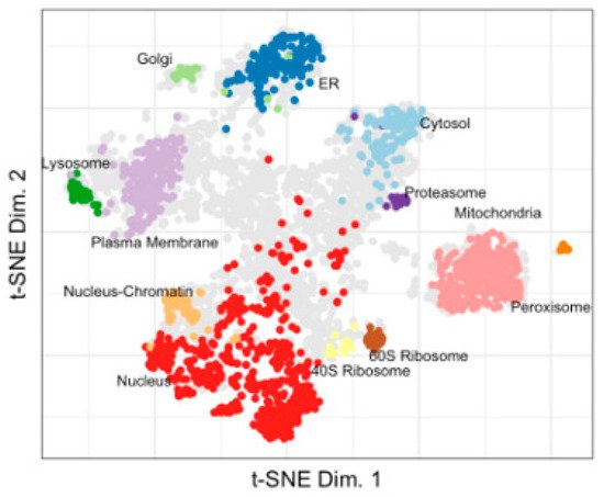 Proteomes, Vol. 10, Pages 18: Pattern Analysis of Organellar Maps for Interpretation of Proteomic Data