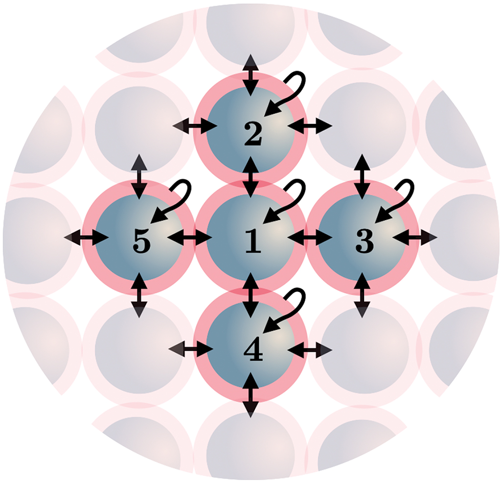 Time-keeping and decision-making in living cells: Part II