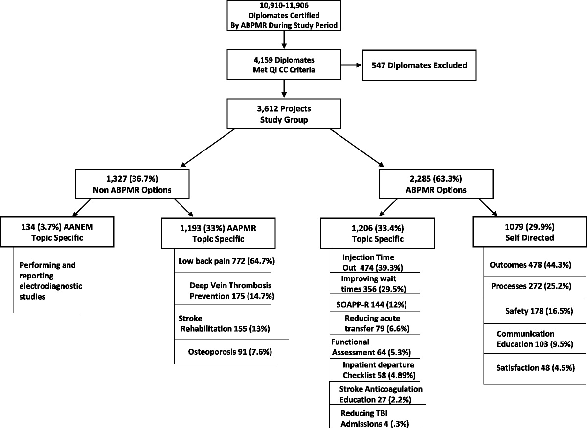 Improving Patient Safety and Quality in Physical Medicine and Rehabilitation Through Participation in the American Board of Physical Medicine and Rehabilitation Continuing Certification Program