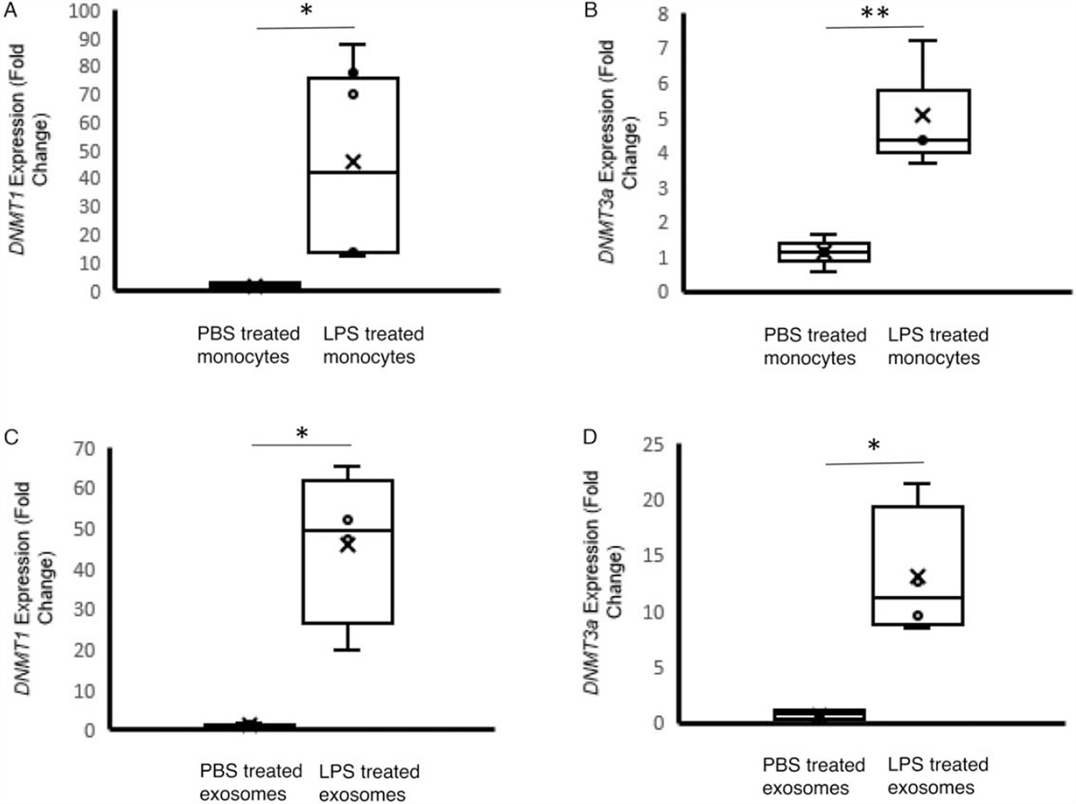Exosomal Transfer of DNA Methyl-Transferase mRNA Induces an Immunosuppressive Phenotype in Human Monocytes