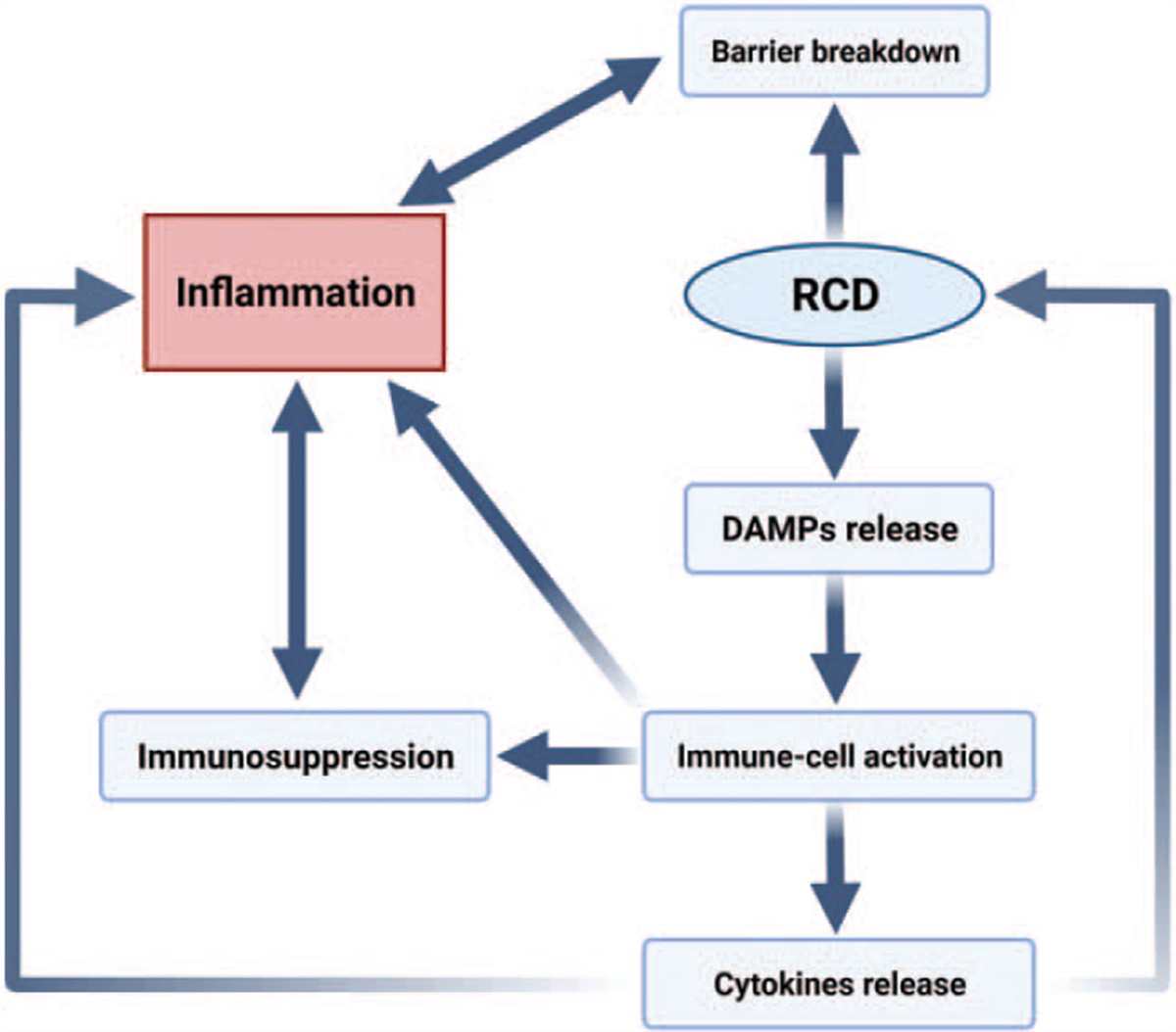 Necroptosis, Pyroptosis, Ferroptosis in Sepsis and Treatment