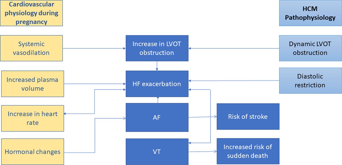 The Challenge of Pregnancy in Women With Hypertrophic Cardiomyopathy