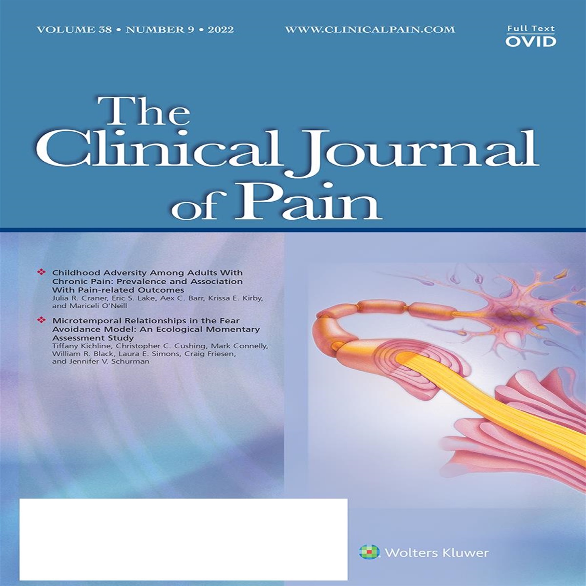 Authors’ Response to Letters to the Editor of Alexander Schnabel et al Titled “It Is Not Only the Heart That Hurts!”