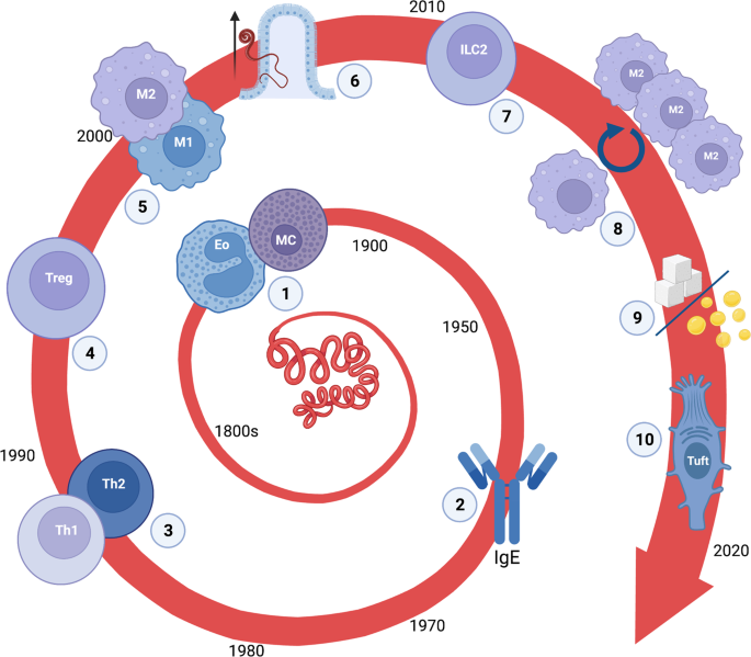 Lessons from helminths: what worms have taught us about mucosal immunology