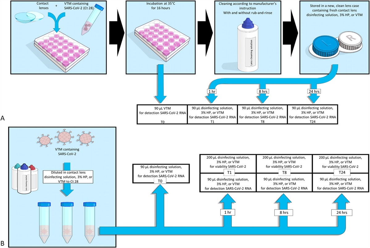 Effectiveness of Commonly Used Contact Lens Disinfectants Against SARS-CoV-2