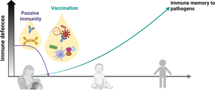 Microbial antigen in human milk: a natural vaccine?
