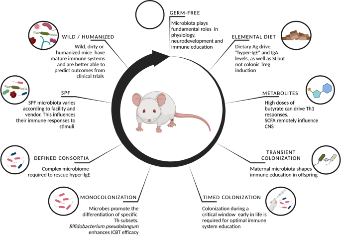 From germ-free to wild: modulating microbiome complexity to understand mucosal immunology