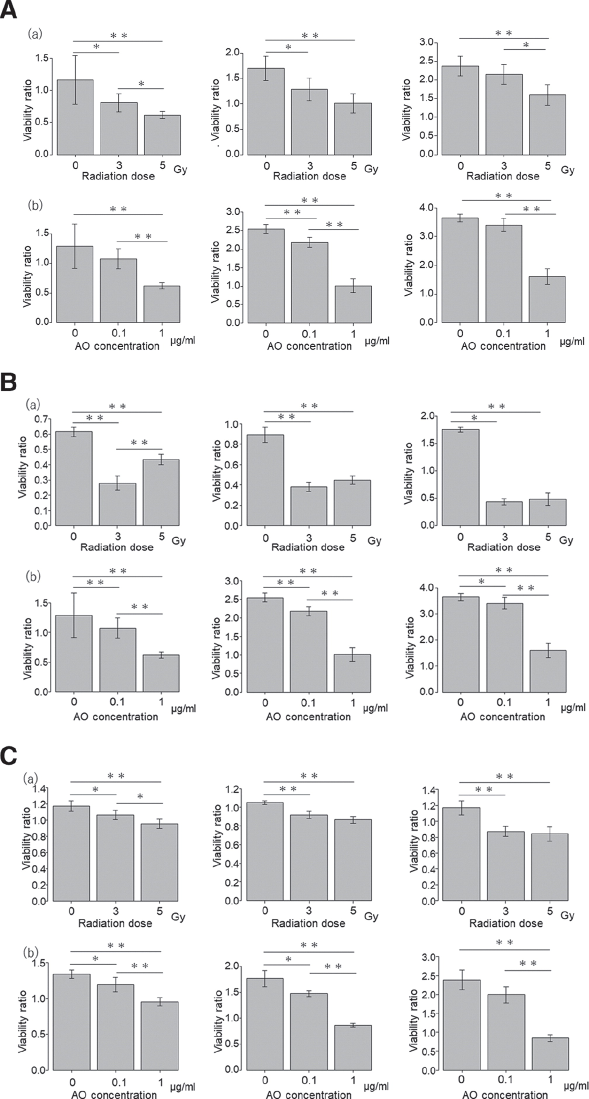 Radiodynamic therapy with acridine orange local administration as a new treatment option for primary and secondary bone tumours