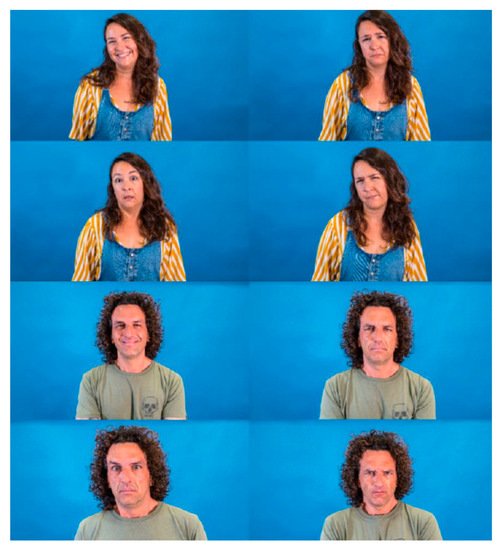 Nursing Reports, Vol. 12, Pages 758-774: How Are You Feeling? Interpretation of Emotions through Facial Expressions of People Wearing Different Personal Protective Equipment: An Observational Study