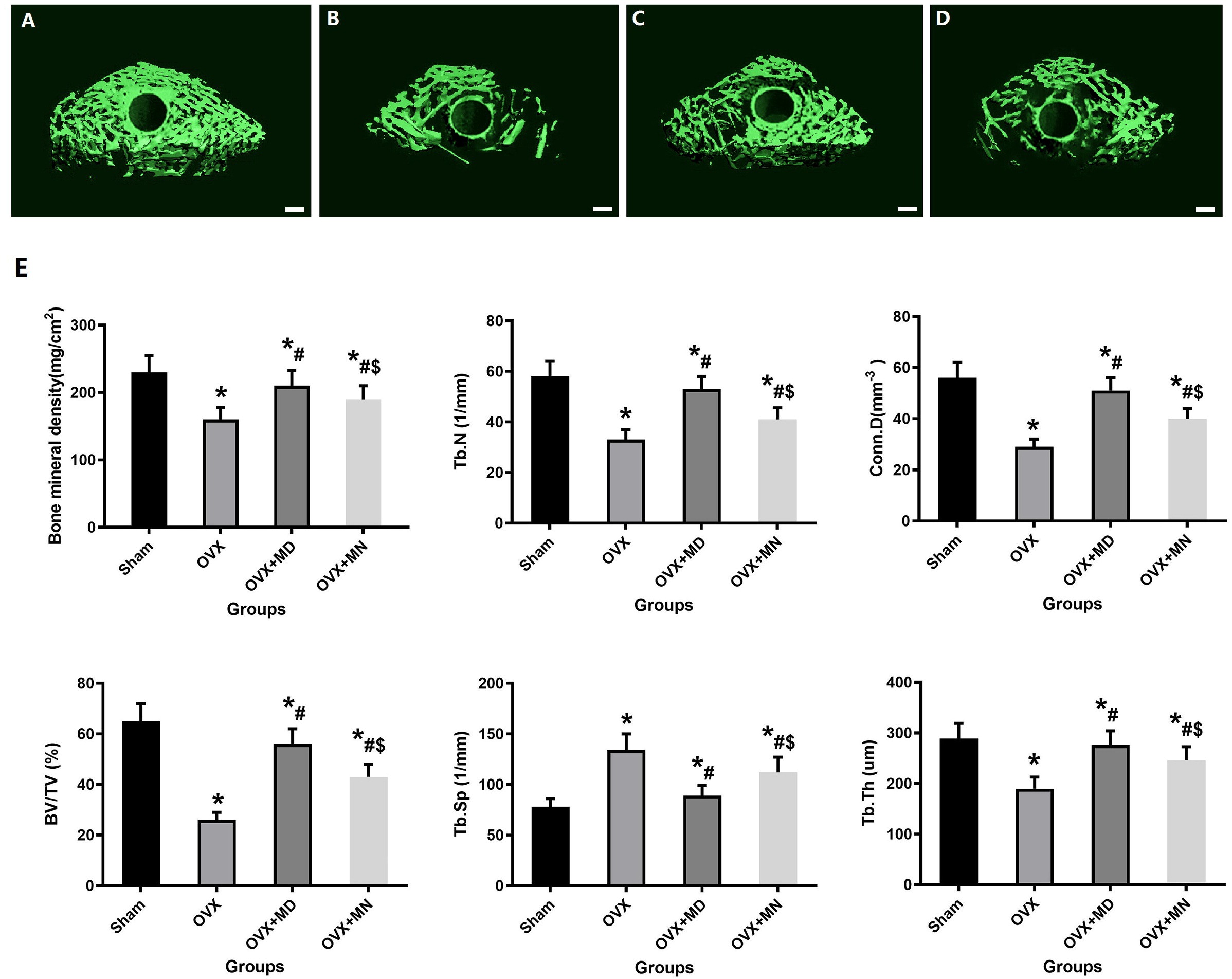 Systemic administration with melatonin in the daytime has a better effect on promoting osseointegration of titanium rods in ovariectomized rats