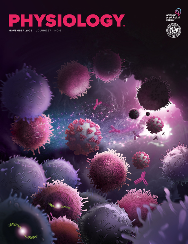 Effects of Developmental Hypoxia on the Vertebrate Cardiovascular System