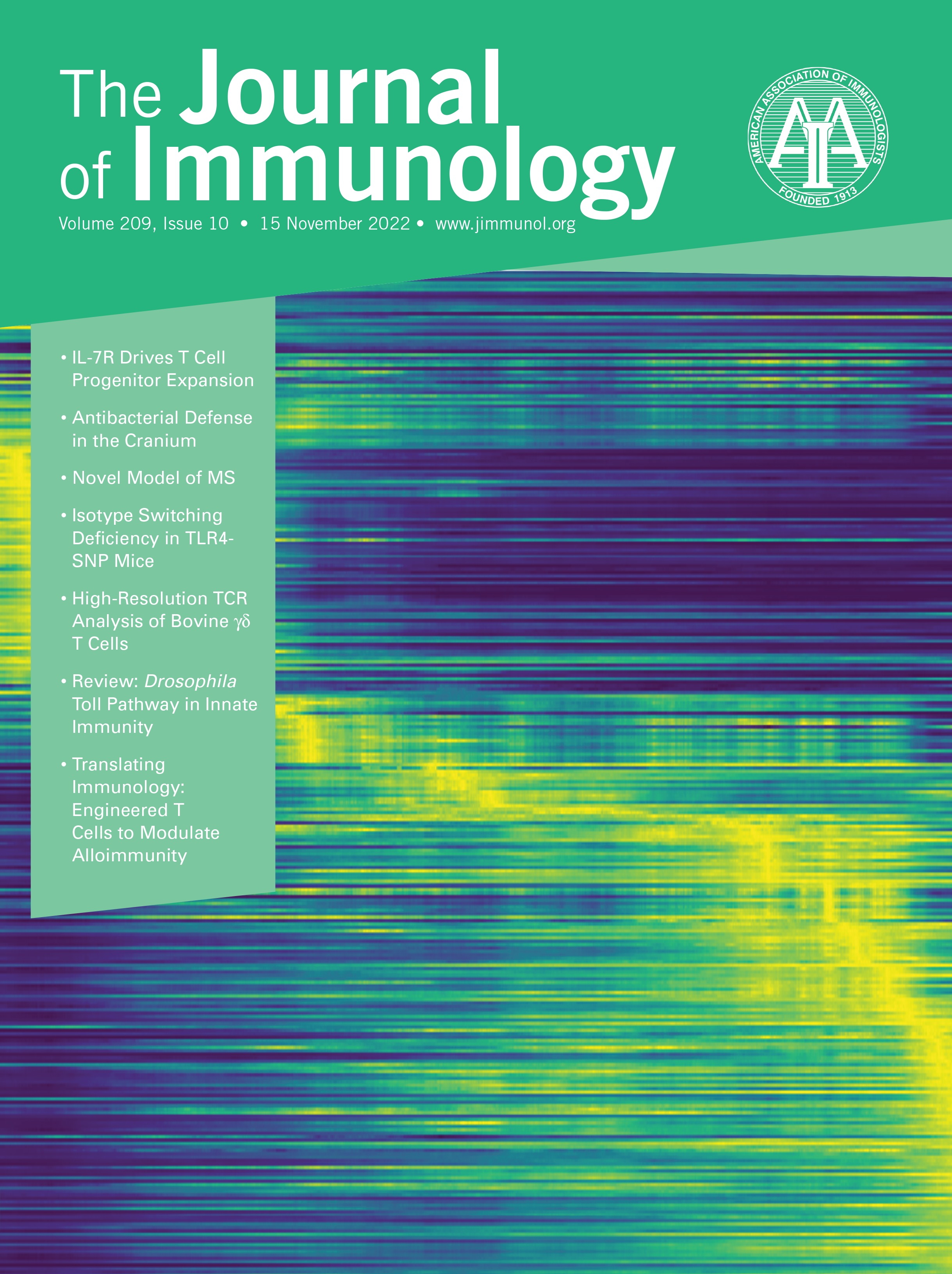 An AhR-Caspase Axis Mediated Antiviral Apoptosis in an Arthropod [INNATE IMMUNITY AND INFLAMMATION]
