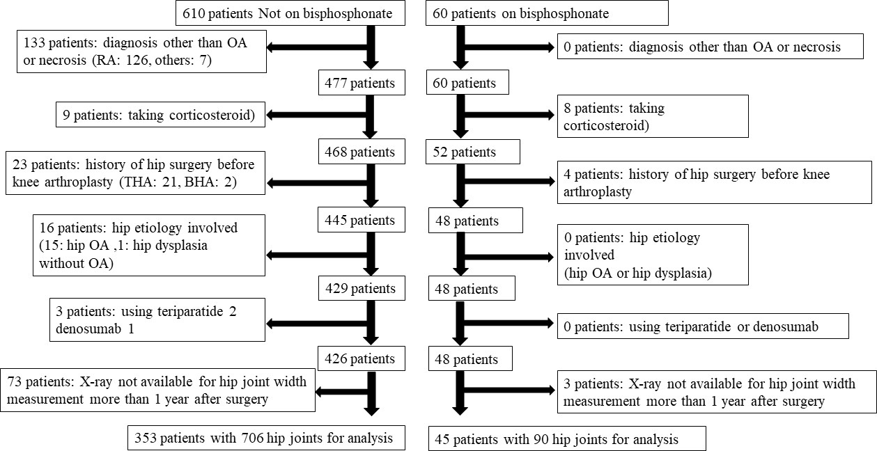 Bisphosphonate use is associated with a decreased joint narrowing rate in the non-arthritic hip