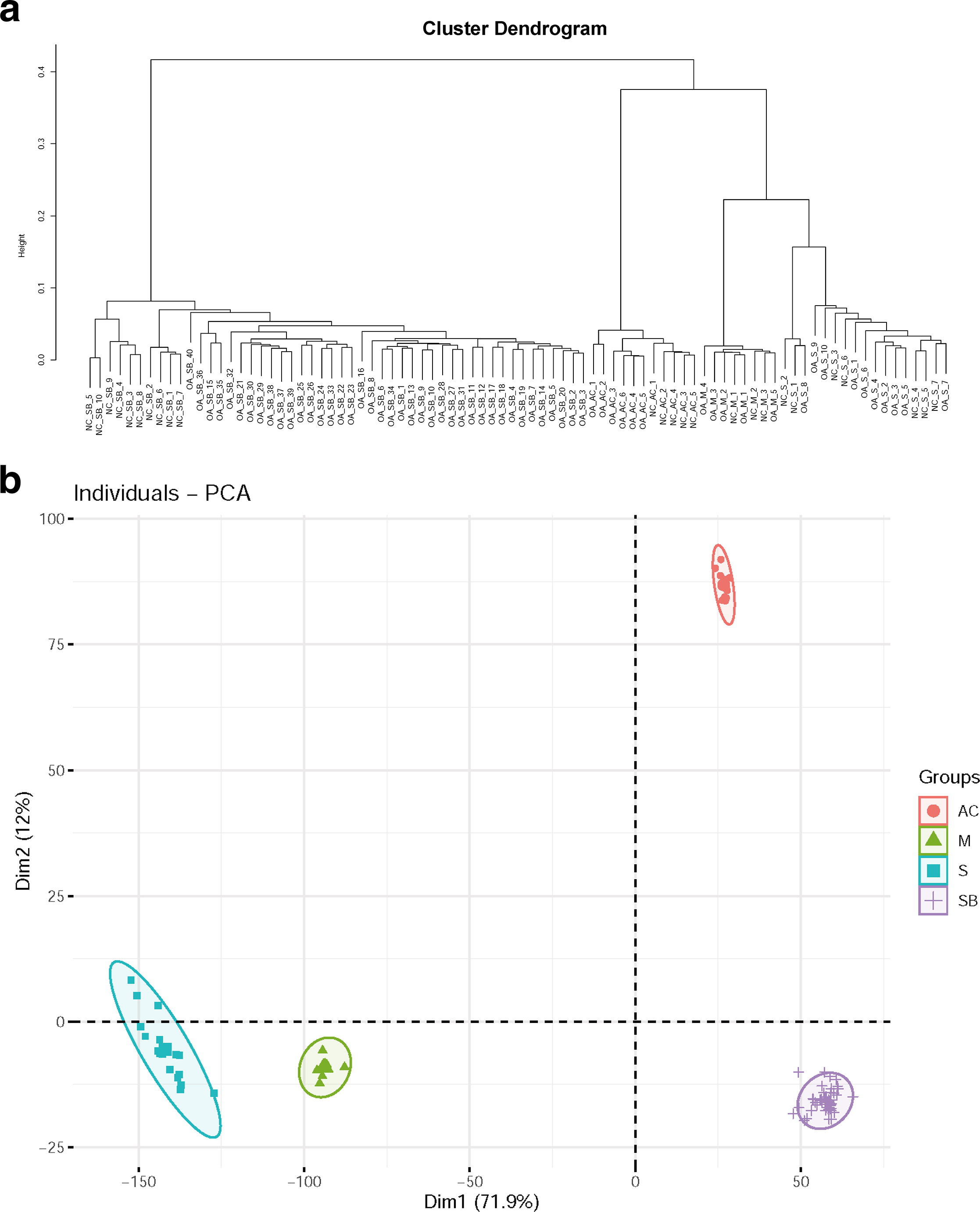 Molecular crosstalk between articular cartilage, meniscus, synovium, and subchondral bone in osteoarthritis