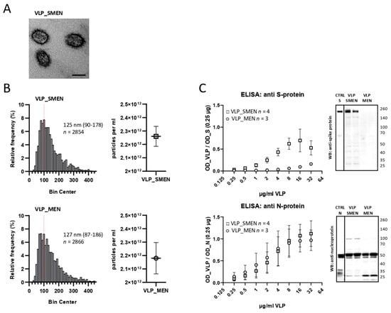 Antibodies, Vol. 11, Pages 76: SARS-CoV-2 Virus-like Particles (VLPs) Specifically Detect Humoral Immune Reactions in an ELISA-Based Platform