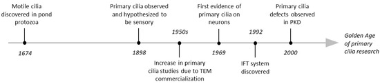 JDB, Vol. 10, Pages 54: Primary Cilia Dysfunction in Neurodevelopmental Disorders beyond Ciliopathies