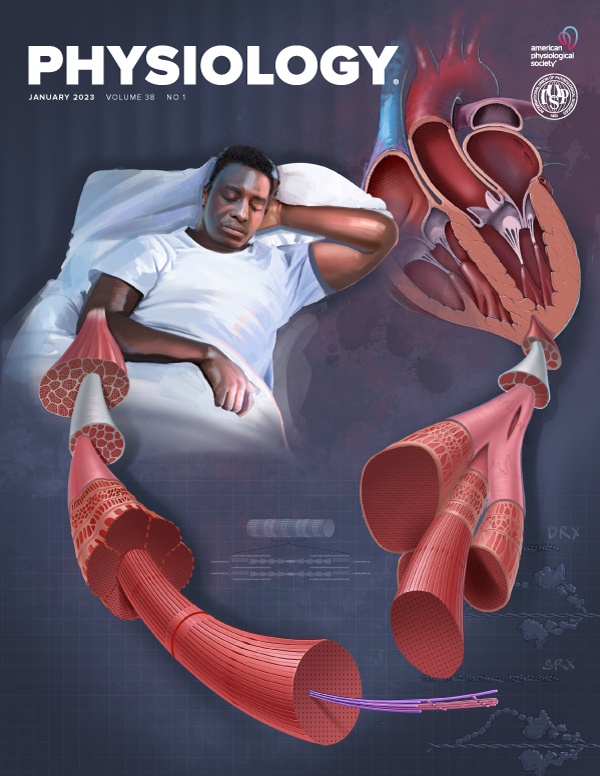 CATSPER Calcium Channels: twenty years on