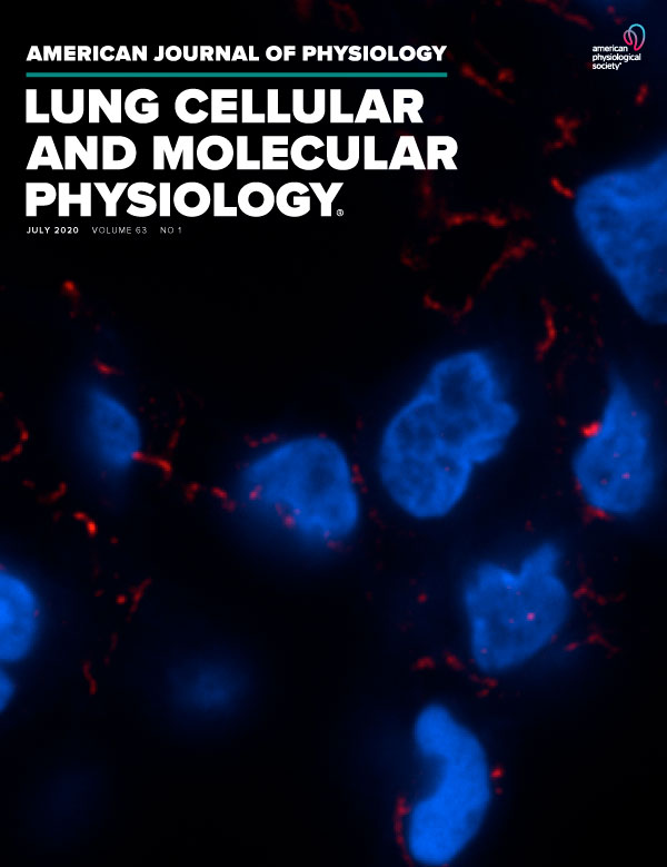 Neonatal hyperoxia induces activated pulmonary cellular states and sex-dependent transcriptomic changes in a model of experimental bronchopulmonary dysplasia