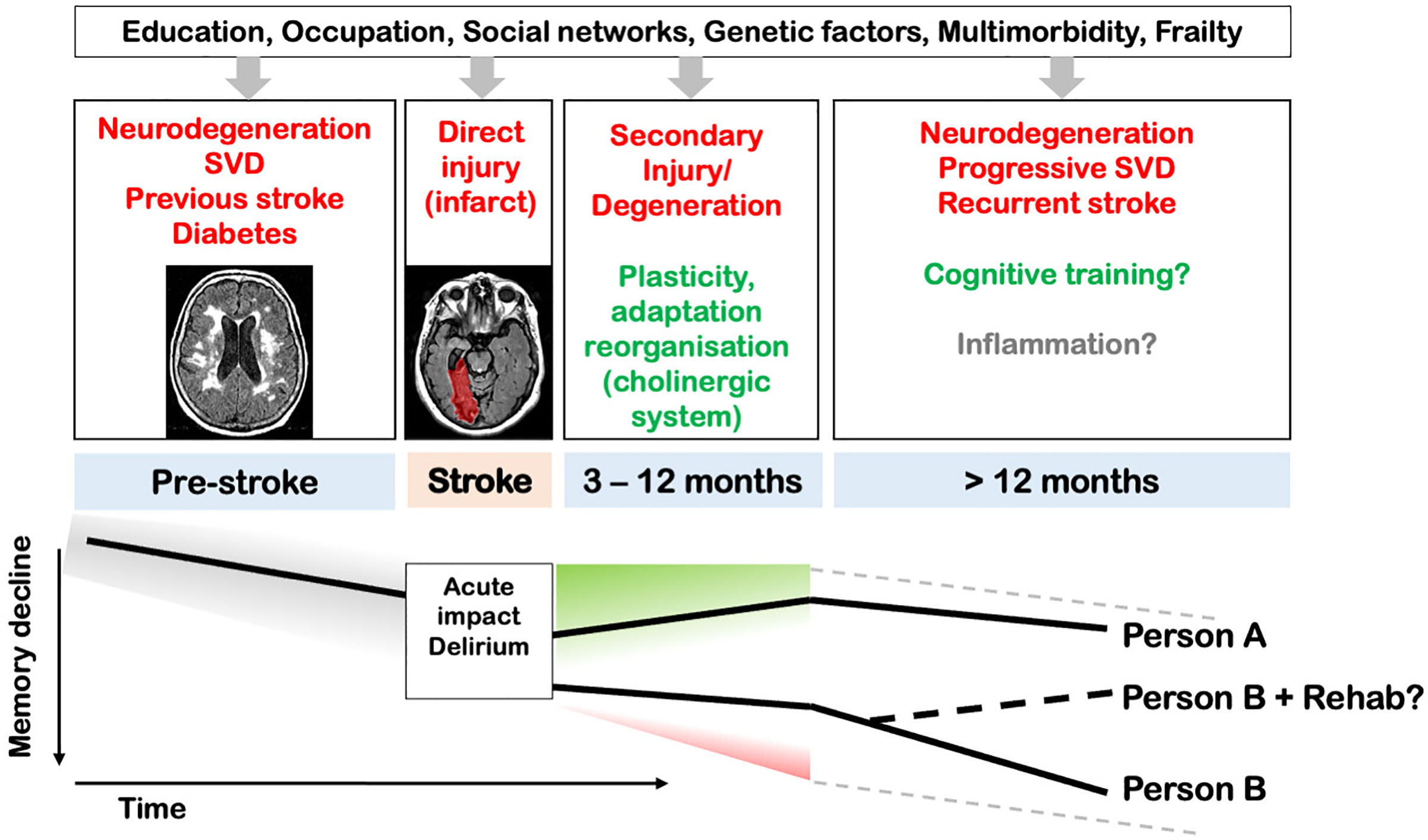 Cognitive Recovery After Stroke: Memory