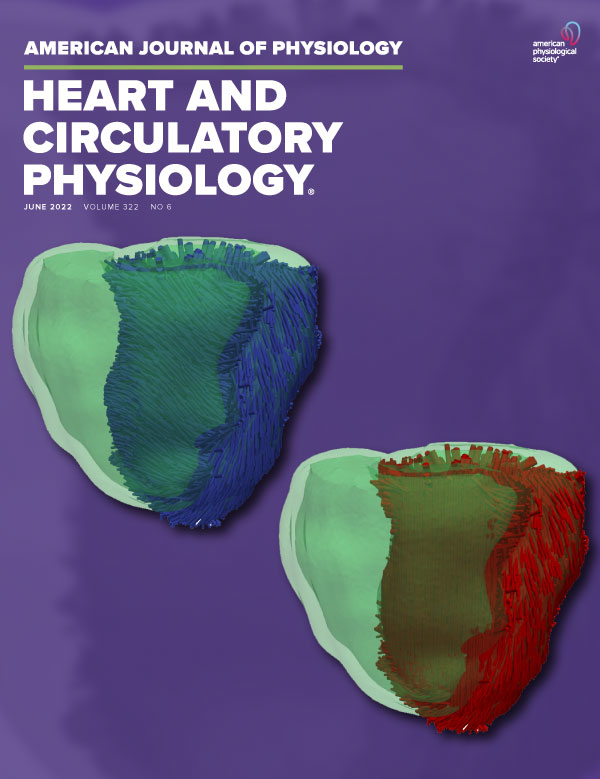 Toward bedside computation of myocardial infarction risk using noninvasive analysis of patients living with coronary artery disease