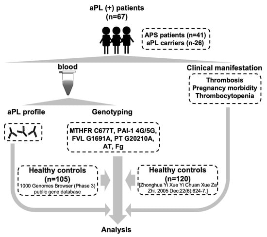 Biomedicines, Vol. 11, Pages 55: Methylenetetrahydrofolate Reductase 677T Allele Is a Risk Factor for Arterial Thrombosis in Chinese Han Patients with Antiphospholipid Syndrome