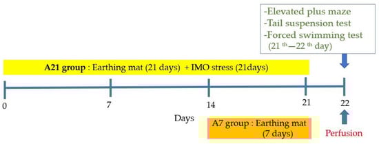 Biomedicines, Vol. 11, Pages 57: The Effect of Earthing Mat on Stress-Induced Anxiety-like Behavior and Neuroendocrine Changes in the Rat