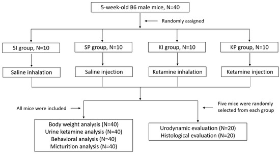 Biomedicines, Vol. 11, Pages 75: Ketamine Inhalation Alters Behavior and Lower Urinary Tract Function in Mice