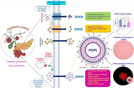 Cancers, Vol. 15, Pages 182: Palmitoyl Carnitine-Anchored Nanoliposomes for Neovasculature-Specific Delivery of Gemcitabine Elaidate to Treat Pancreatic Cancer