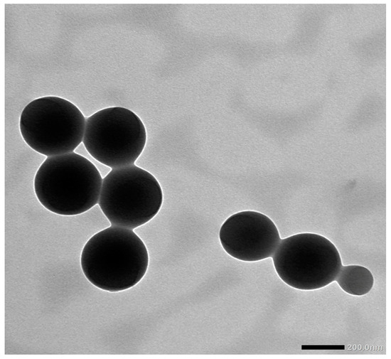 Antioxidants, Vol. 12, Pages 60: Caffeic Acid Phenethyl Ester Loaded PEG–PLGA Nanoparticles Enhance Wound Healing in Diabetic Rats