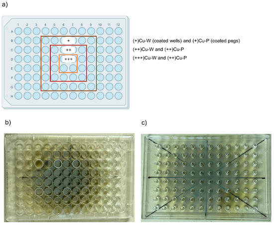 Antibiotics, Vol. 12, Pages 55: Antibacterial and Antibiofilm Activity of Nanostructured Copper Films Prepared by Ionized Jet Deposition