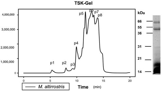 Toxins, Vol. 15, Pages 15: Monoclonal-Based Antivenomics Reveals Conserved Neutralizing Epitopes in Type I PLA2 Molecules from Coral Snakes