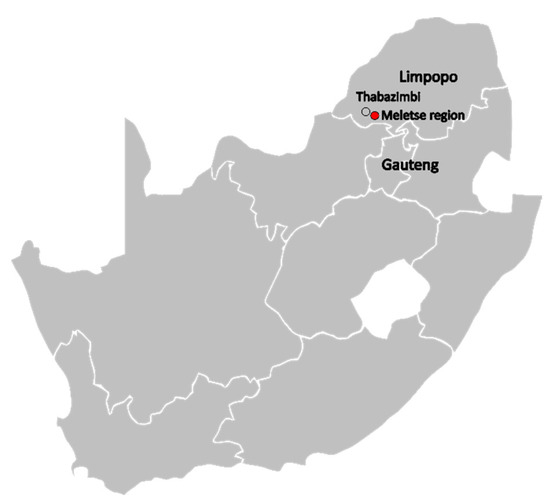 Viruses, Vol. 15, Pages 99: Host-Associated Distribution of Two Novel Mammarenaviruses in Rodents from Southern Africa