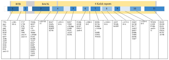 JPM, Vol. 13, Pages 91: Genetic Approaches for the Treatment of Giant Axonal Neuropathy