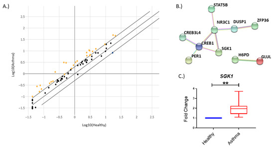 Cells, Vol. 12, Pages 133: The Serum/Glucocorticoid-Regulated Kinase 1 Is Targeted by miR-19a in CD4+ T Cells