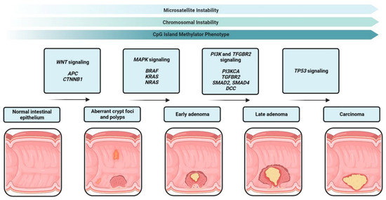 Cells, Vol. 12, Pages 138: The Cytokine Network in Colorectal Cancer: Implications for New Treatment Strategies