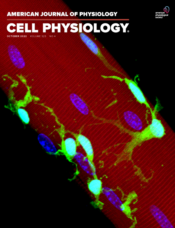 Physiology of chemokines in the cancer microenvironment