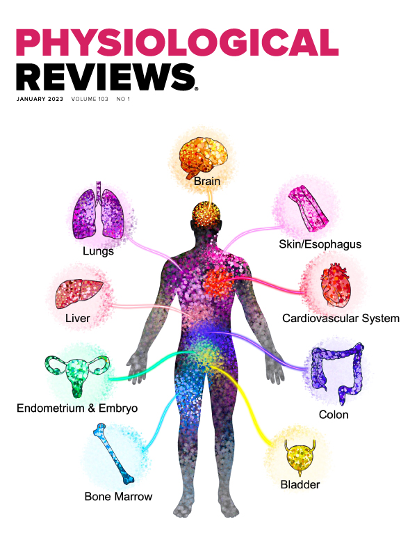 The molecular athlete: exercise physiology from mechanisms to medals
